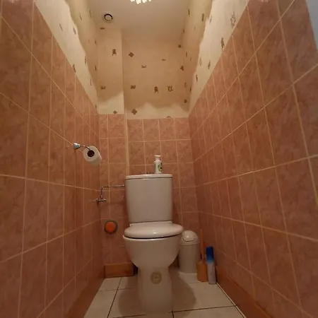 Ferienhaus Gite Saint Ludan *
